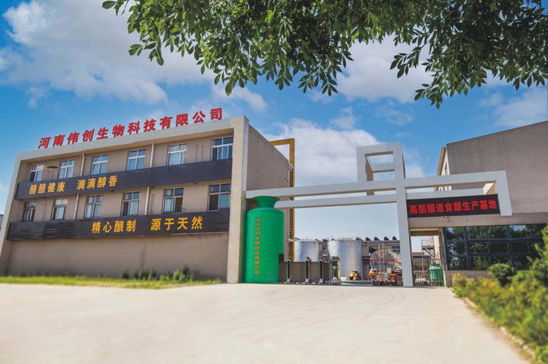 伟创网络科技